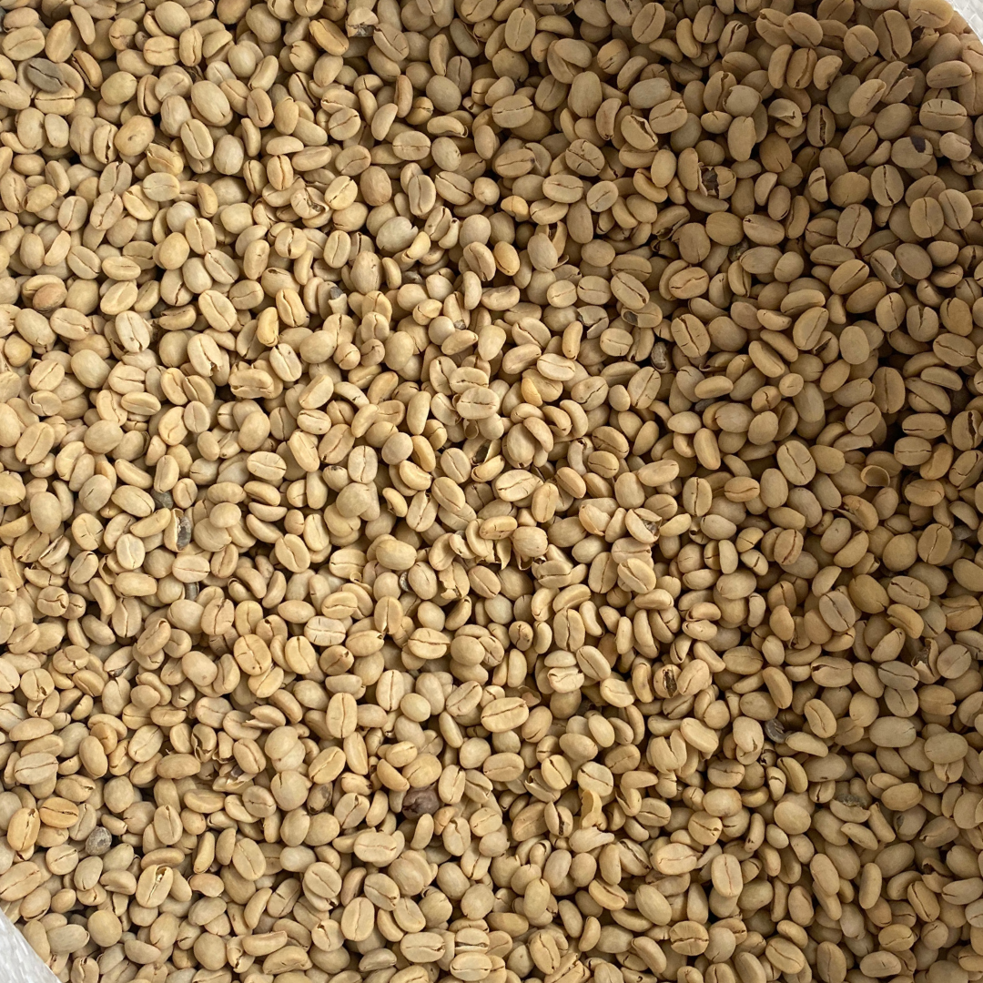 100% Kona Prime - Green Coffee