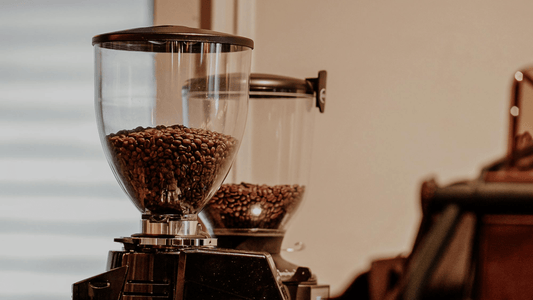 How to Store Coffee for Maximum Freshness