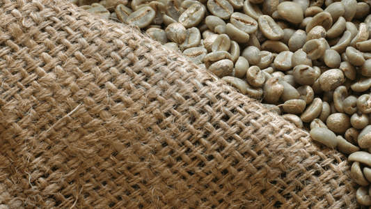 What to Look for When Buying Green Coffee Beans