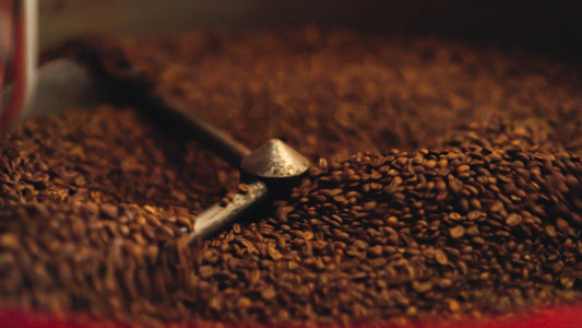 Get to Know Our Coffee Roasts